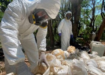 Aseguran ‘narcolaboratorio’ en BC; producían 100 kilos de metanfetamina por semana