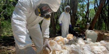 Aseguran ‘narcolaboratorio’ en BC; producían 100 kilos de metanfetamina por semana