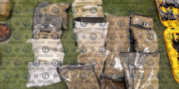 Desmantelan ‘narcolaboratorio’ e incautan mariguana y cristal en León, Guanajuato