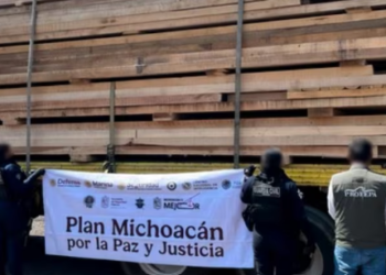 Detienen a 14 personas por tala ilegal en Michoacán; aseguran 25 vehículos con 539 metros cúbicos de madera