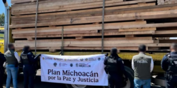 Detienen a 14 personas por tala ilegal en Michoacán; aseguran 25 vehículos con 539 metros cúbicos de madera