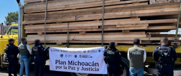 Detienen a 14 personas por tala ilegal en Michoacán; aseguran 25 vehículos con 539 metros cúbicos de madera