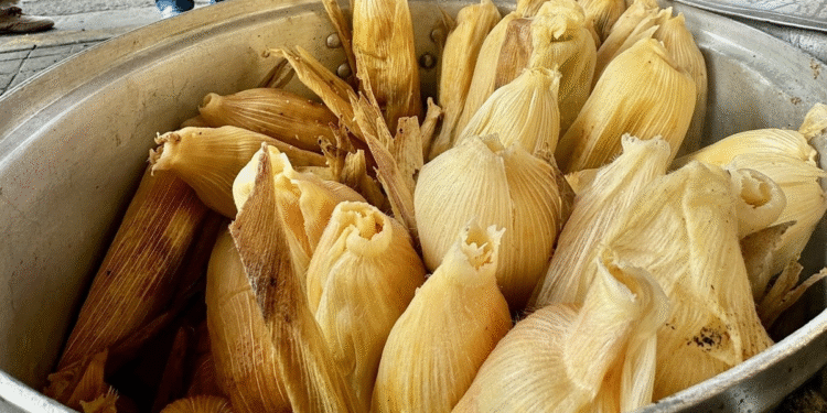 Dan de alta a niña, la última de siete menores intoxicados por tamales con fentanilo en Huauchinango