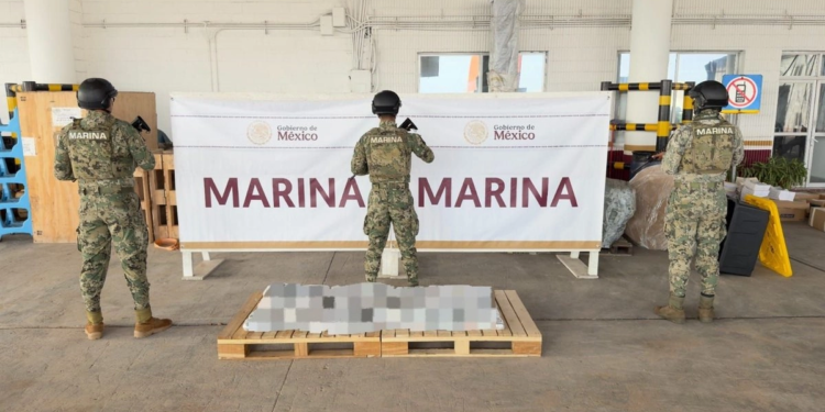 Aseguran 185 kg de metanfetamina y 35 kg de cocaína en contenedores del puerto de Veracruz