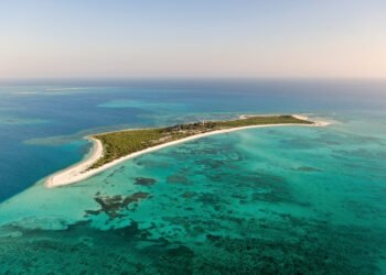 Frenan pesca ilegal de caracol rosado en Arrecife Alacranes en Yucatán