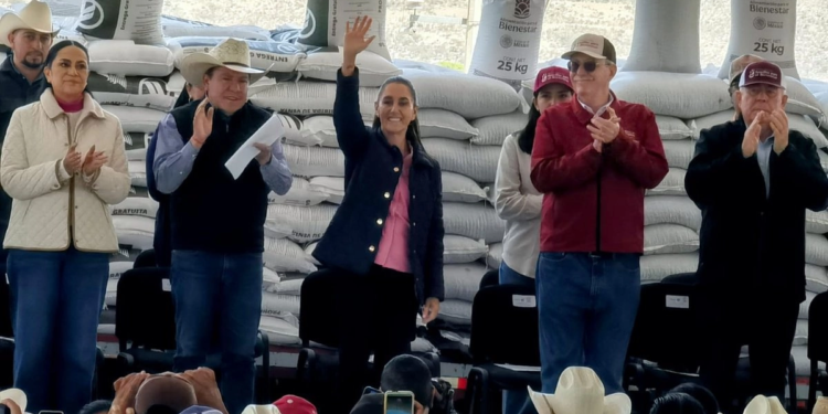 Sheinbaum anuncia autosuficiencia en frijol con producción de 1.2 millones de toneladas