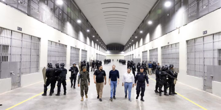 Bukele arremete contra activistas y ONG que cuestionan su política de seguridad