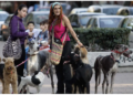 Hasta 36 horas de arresto a quien saque a pasear perros sin correa en CDMX