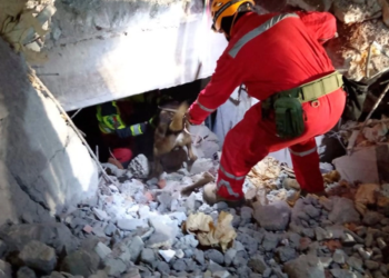 Lanzan artefacto explosivo desde avioneta en Gómez Palacio