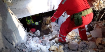 Lanzan artefacto explosivo desde avioneta en Gómez Palacio