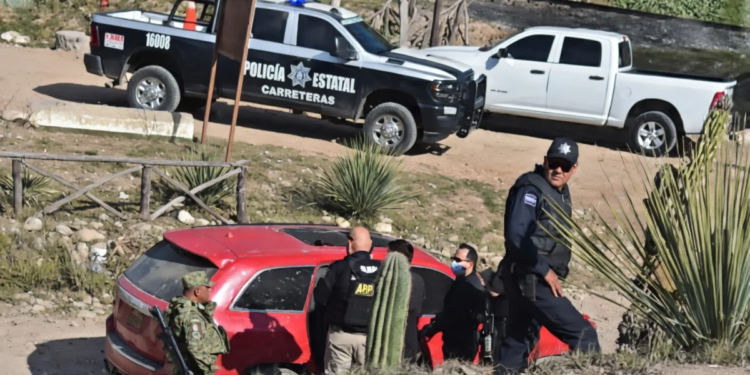 Capturan a el ‘Menny’ tras enfrentamiento armado con autoridades en Sonora