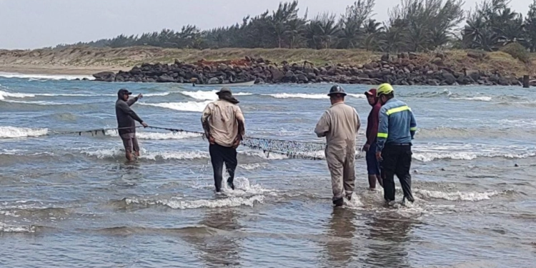 Derrame de hidrocarburo se extiende a playas del sur de Veracruz