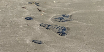 Puerto de Veracruz y Boca del Río presentan manchas del derrame de hidrocarburo