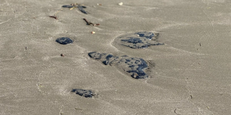 Puerto de Veracruz y Boca del Río presentan manchas del derrame de hidrocarburo