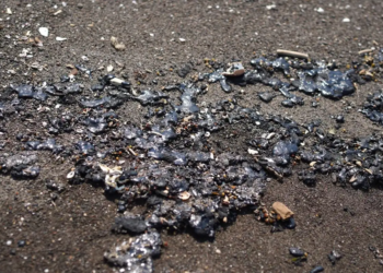 Grupo interdisciplinario investigará derrame en Veracruz