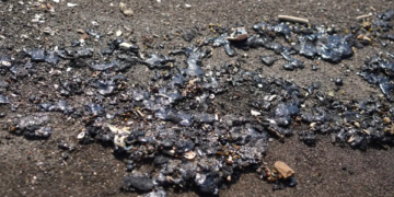 Grupo interdisciplinario investigará derrame en Veracruz