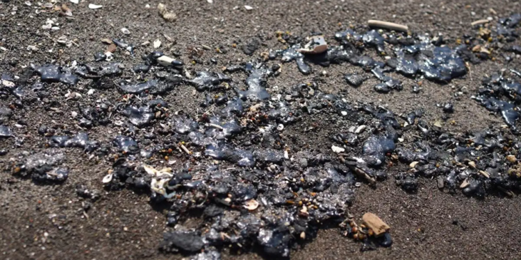 Grupo interdisciplinario investigará derrame en Veracruz