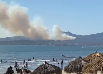Incendio forestal amenaza zona turística de Punta de Mita, Nayarit