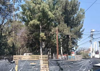 Comerciantes denuncian abandono e irregularidades en la remodelación del Parque Corpus Christi