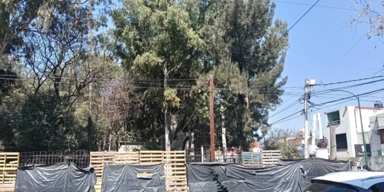 Comerciantes denuncian abandono e irregularidades en la remodelación del Parque Corpus Christi