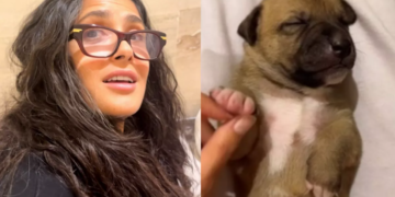 La gran historia de ‘Chachalacas’, la perrita que Salma Hayek adoptó en Veracruz