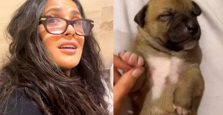 La gran historia de ‘Chachalacas’, la perrita que Salma Hayek adoptó en Veracruz