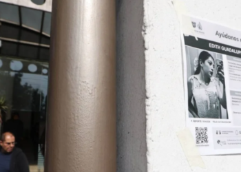 PAN exige desmantelar portales de empleo falsos tras feminicidio de Edith Guadalupe