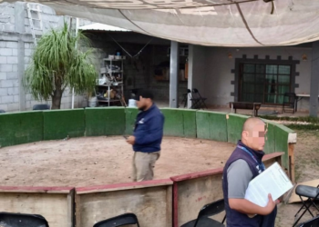 Clausuran en Querétaro inmueble usado para peleas de gallos clandestinas