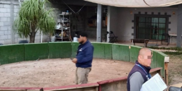 Clausuran en Querétaro inmueble usado para peleas de gallos clandestinas