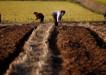 Trump y Putin hablaron por teléfono sobre el conflicto en Medio Oriente