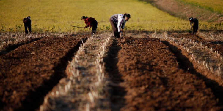 Trump y Putin hablaron por teléfono sobre el conflicto en Medio Oriente