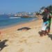 Mueren dos turistas chinos ahogados en playa de Acapulco