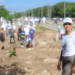 CANCÚN LOGRA RECONOCIMIENTO “CIUDAD ÁRBOL DEL MUNDO 2025”: ANA PATY PERALTA