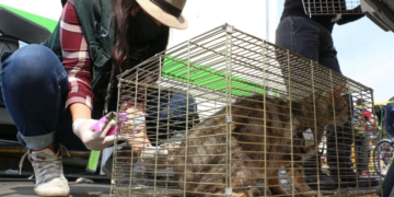 Vecinos bloquean Avenida Cuauhtémoc en protesta por megaproyecto inmobiliario en Benito Juárez