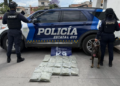 unidad canina detecta y logra decomiso de 13 kilos de mariguana en Irapuato y León, Guanajuato