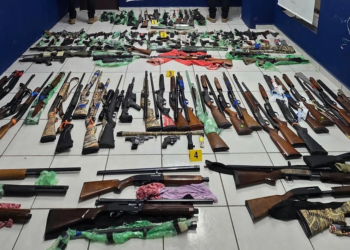 Incautan 116 armas en Coahuila; serían enviadas a grupos delincuenciales de Michoacán