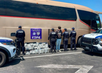 Guanajuato: detienen a joven por llevar 23 kilogramos de mariguana en autobús de pasajeros