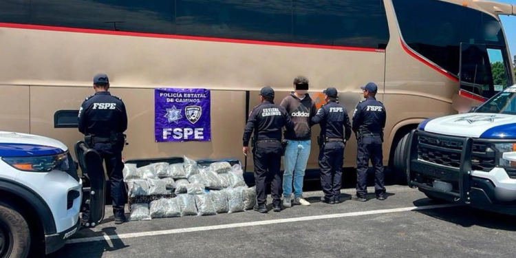 Guanajuato: detienen a joven por llevar 23 kilogramos de mariguana en autobús de pasajeros