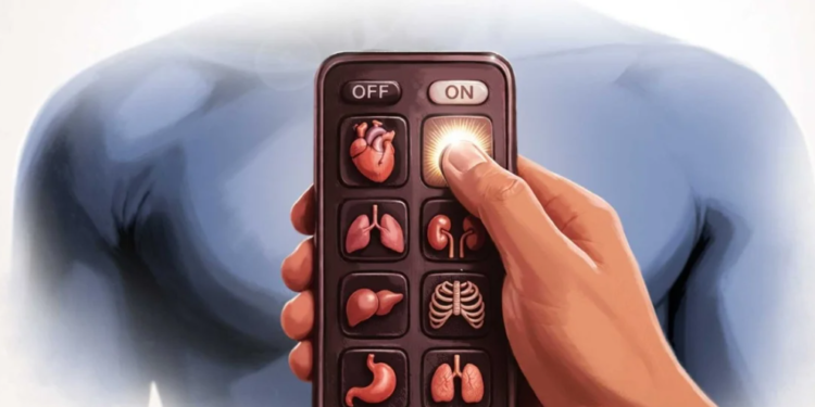 Congreso CDMX busca que capitalinos sean donantes de órganos automáticamente