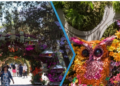 Con arcos florales y jardines hermosos, así será el Festival de Flores y Jardines 2026 en Polanco