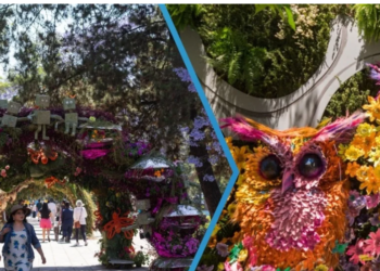 Con arcos florales y jardines hermosos, así será el Festival de Flores y Jardines 2026 en Polanco
