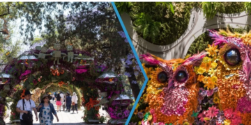 Con arcos florales y jardines hermosos, así será el Festival de Flores y Jardines 2026 en Polanco