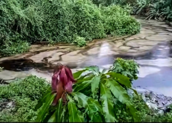 De nueva cuenta Veracruz es tendencia por fuga de ducto que logro contaminar un río