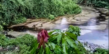 De nueva cuenta Veracruz es tendencia por fuga de ducto que logro contaminar un río