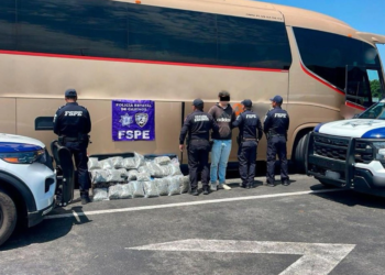 Guanajuato: detienen a joven por llevar 23 kilogramos de mariguana en autobús de pasajeros