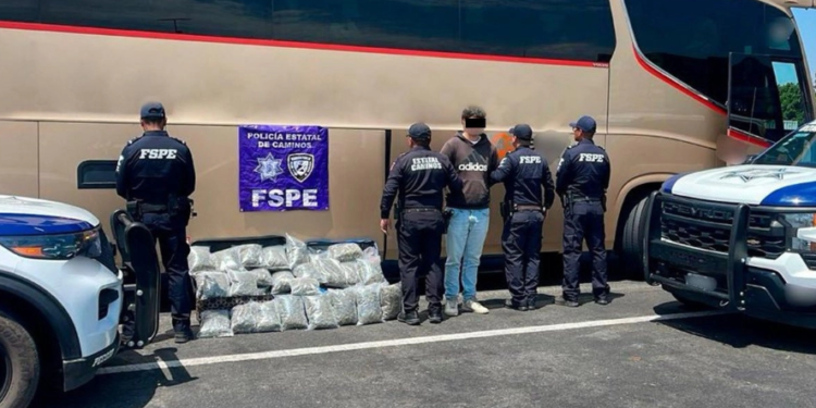 Guanajuato: detienen a joven por llevar 23 kilogramos de mariguana en autobús de pasajeros