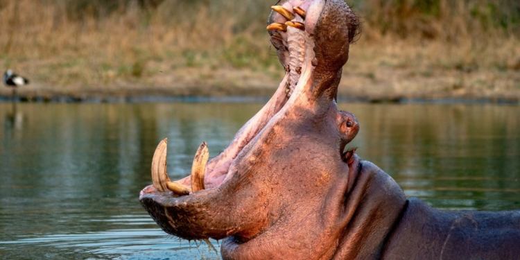 Francia presenta hoja de ruta para eliminar las energías fósiles