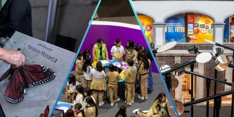 Los 5 mejores museos para niños en CDMX