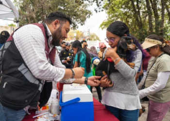 Tlalpan refuerza bienestar animal con más de 39 mil servicios veterinarios gratuitos