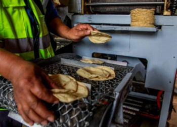Alza en precio de tortilla CDMX: PAN propone créditos para evitar impacto al bolsillo
